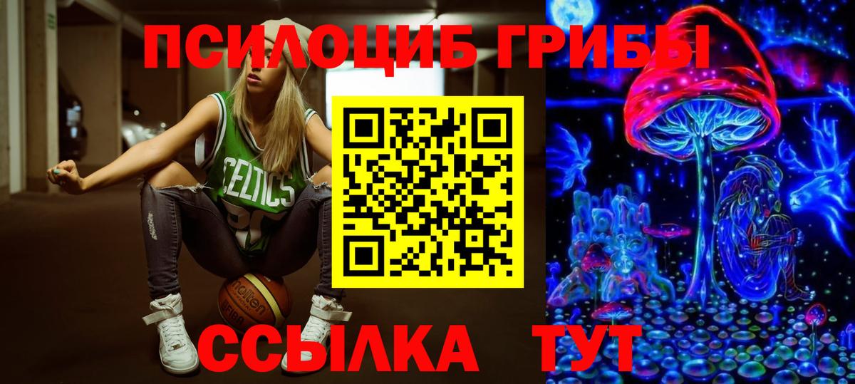 Галлюциногенные грибы Psilocybe Артём